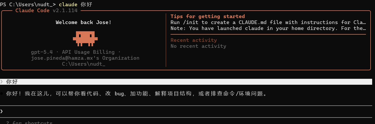 终端执行 claude 你好 并正常响应